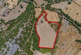 C21 LOCA'DAN KEPSUT SAYACIK MAHALLESİNDE 4323 M2 SATILIK TARLA - 2 - 33578