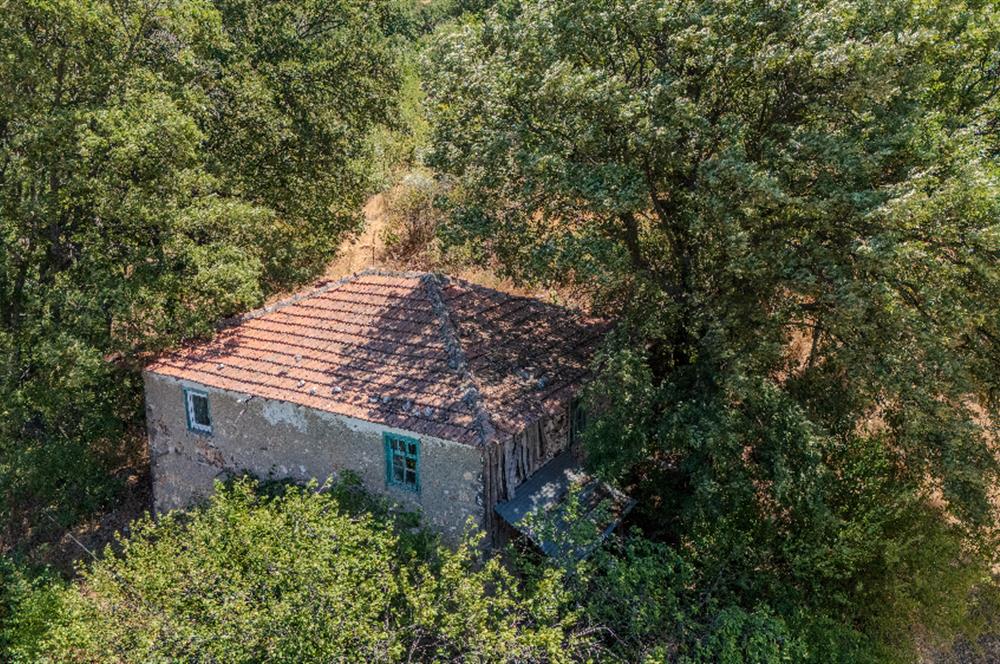 C21 LOCADAN KEPSUT SAYACIK MAHALLESİNDE KONUT İMARLI 1229M2 ARSA