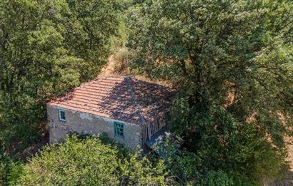 C21 LOCADAN KEPSUT SAYACIK MAHALLESİNDE KONUT İMARLI 1229M2 ARSA