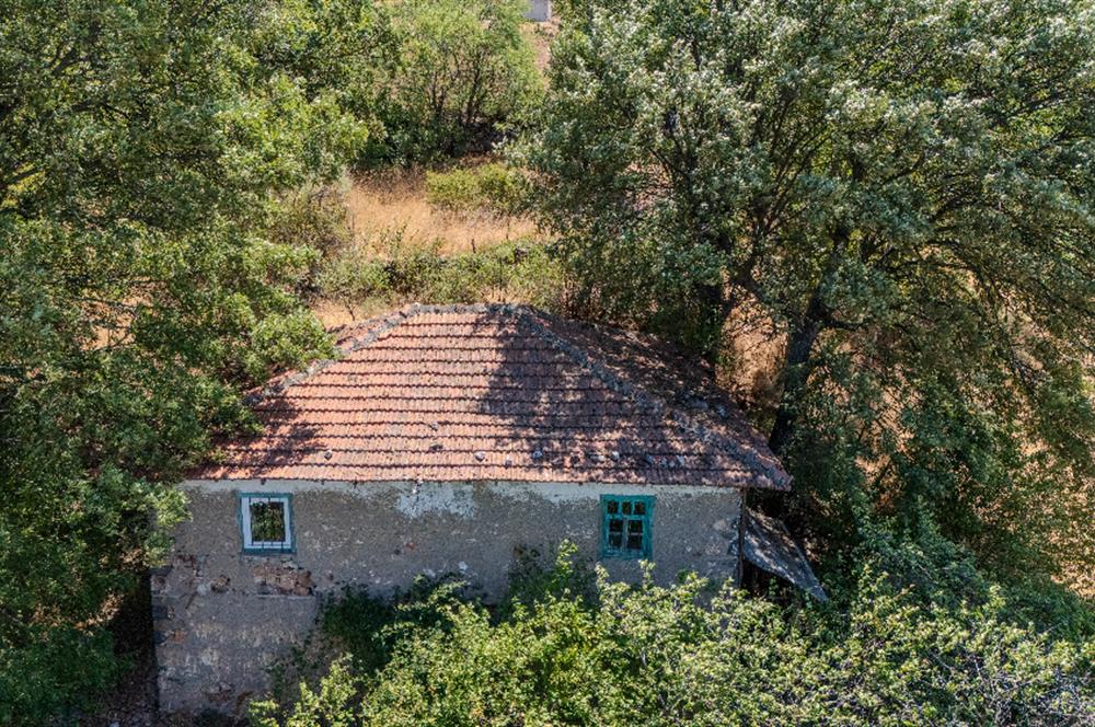 C21 LOCADAN KEPSUT SAYACIK MAHALLESİNDE KONUT İMARLI 1229M2 ARSA