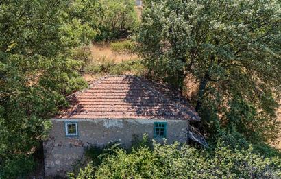 C21 LOCADAN KEPSUT SAYACIK MAHALLESİNDE KONUT İMARLI 1229M2 ARSA