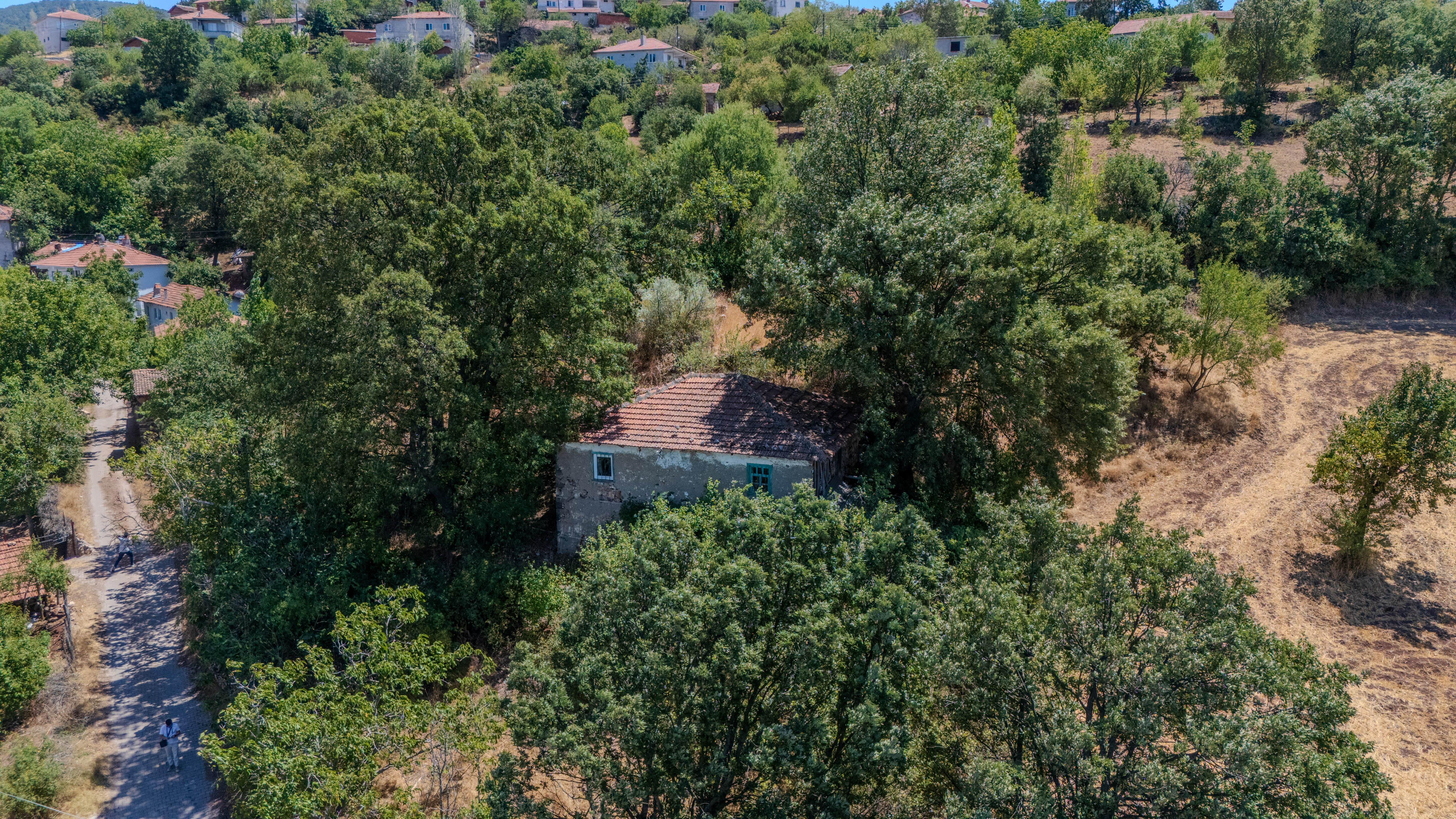 C21 LOCADAN KEPSUT SAYACIK MAHALLESİNDE KONUT İMARLI 1229M2 ARSA