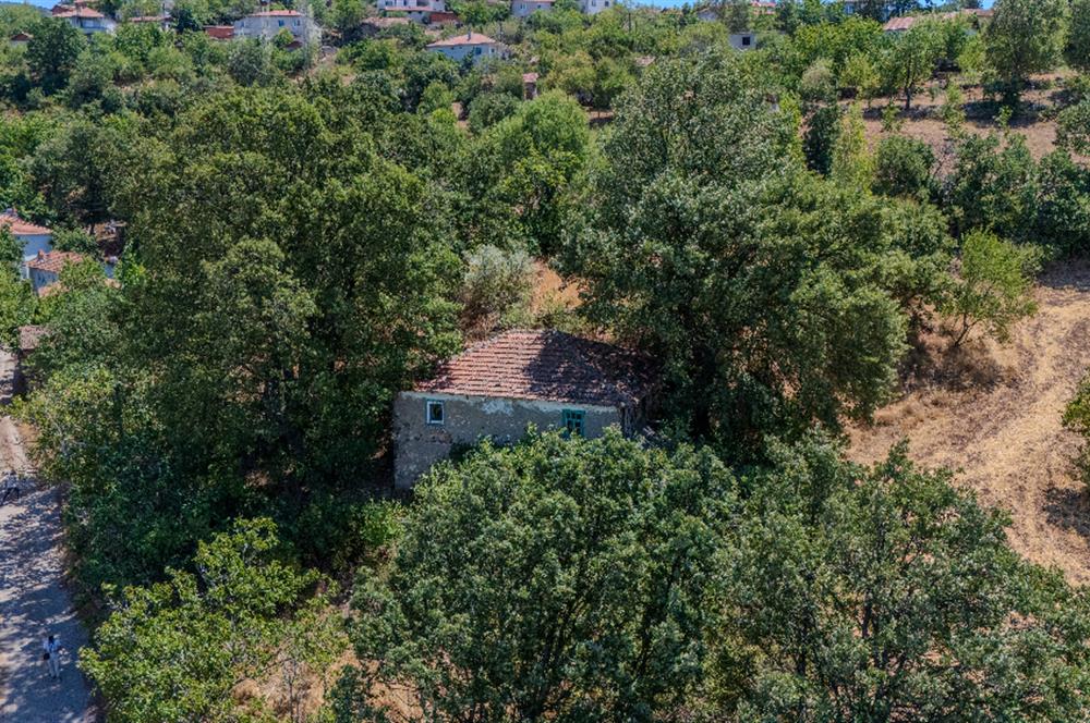 C21 LOCADAN KEPSUT SAYACIK MAHALLESİNDE KONUT İMARLI 1229M2 ARSA