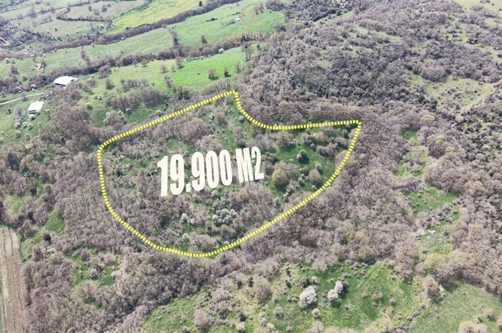 CENTRUY 21 BAL'DAN  BALYA KOCACAMİ MAHALLESİ  SATILIK TARLA