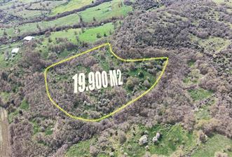 CENTRUY 21 BAL'DAN  BALYA KOCACAMİ MAHALLESİ  SATILIK TARLA - 7 - 33579