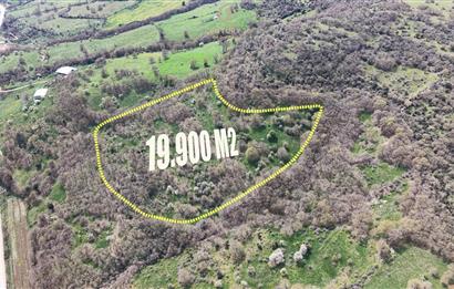 CENTRUY 21 BAL'DAN  BALYA KOCACAMİ MAHALLESİ  SATILIK TARLA