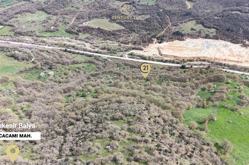 CENTRUY 21 BAL'DAN  BALYA KOCACAMİ MAHALLESİ  SATILIK TARLA