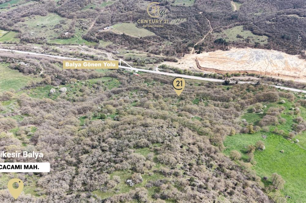 CENTRUY 21 BAL'DAN  BALYA KOCACAMİ MAHALLESİ  SATILIK TARLA