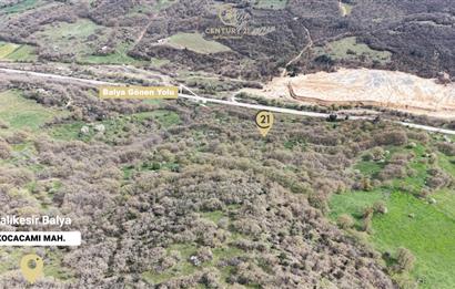 CENTRUY 21 BAL'DAN  BALYA KOCACAMİ MAHALLESİ  SATILIK TARLA