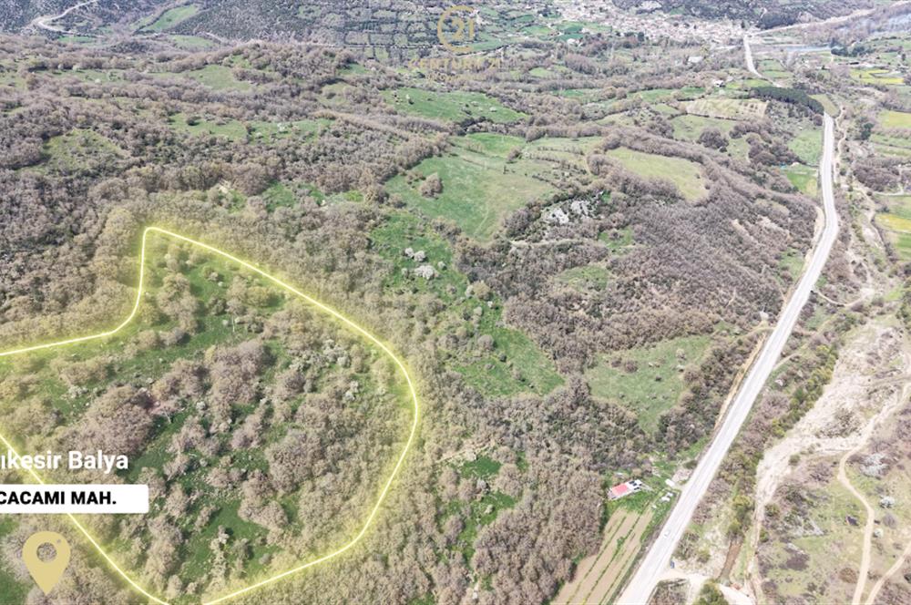 CENTRUY 21 BAL'DAN  BALYA KOCACAMİ MAHALLESİ  SATILIK TARLA
