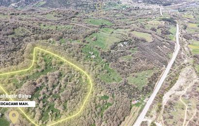 CENTRUY 21 BAL'DAN  BALYA KOCACAMİ MAHALLESİ  SATILIK TARLA