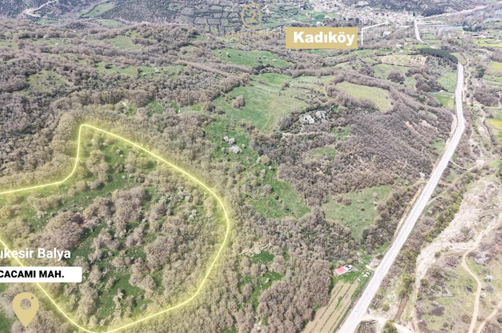 CENTRUY 21 BAL'DAN  BALYA KOCACAMİ MAHALLESİ  SATILIK TARLA