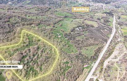 CENTRUY 21 BAL'DAN  BALYA KOCACAMİ MAHALLESİ  SATILIK TARLA