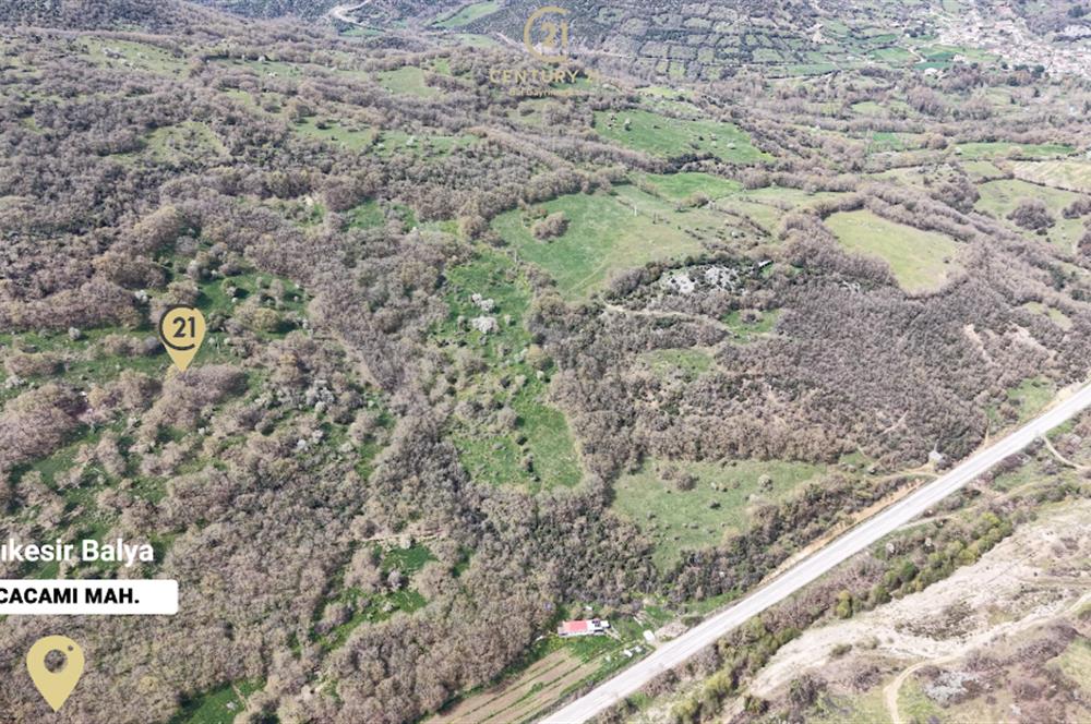 CENTRUY 21 BAL'DAN  BALYA KOCACAMİ MAHALLESİ  SATILIK TARLA