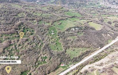 CENTRUY 21 BAL'DAN  BALYA KOCACAMİ MAHALLESİ  SATILIK TARLA