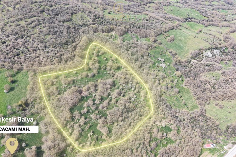 CENTRUY 21 BAL'DAN  BALYA KOCACAMİ MAHALLESİ  SATILIK TARLA
