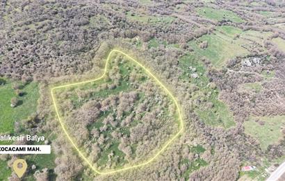 CENTRUY 21 BAL'DAN  BALYA KOCACAMİ MAHALLESİ  SATILIK TARLA