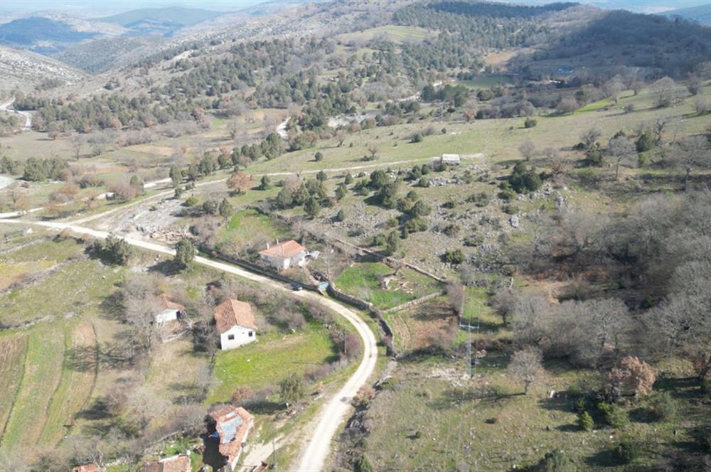 C21 BAL'DAN DURSUNBEY KARAPINAR SATILIK-uygun fiyatlı-ARSA