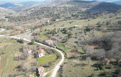 C21 BAL'DAN DURSUNBEY KARAPINAR SATILIK-uygun fiyatlı-ARSA