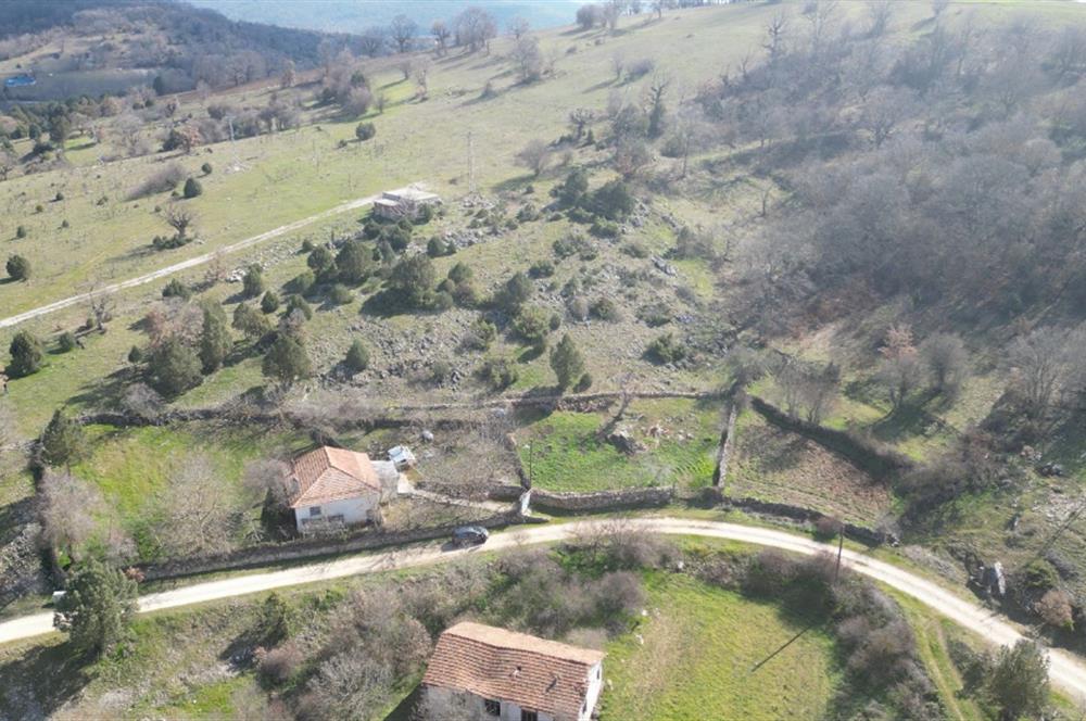 C21 BAL'DAN DURSUNBEY KARAPINAR SATILIK-uygun fiyatlı-ARSA