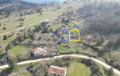 C21 BAL'DAN DURSUNBEY KARAPINAR SATILIK-uygun fiyatlı-ARSA