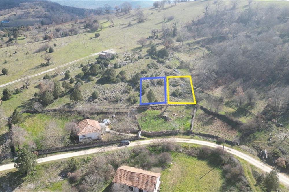 C21 BAL'DAN DURSUNBEY KARAPINAR SATILIK-uygun fiyatlı-ARSA