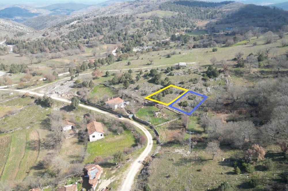 C21 BAL'DAN DURSUNBEY KARAPINAR SATILIK-uygun fiyatlı-ARSA