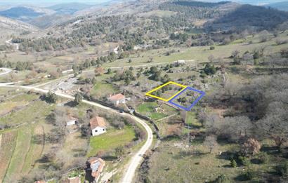 C21 BAL'DAN DURSUNBEY KARAPINAR SATILIK-uygun fiyatlı-ARSA