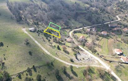 C21 BAL'DAN DURSUNBEY KARAPINAR SATILIK-uygun fiyatlı-ARSA