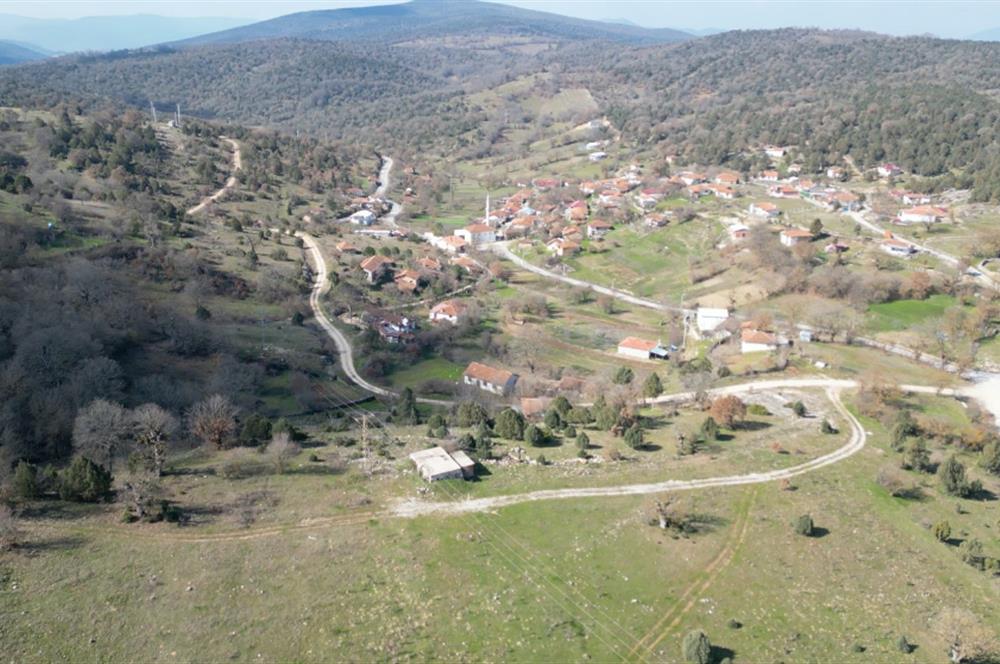 C21 BAL'DAN DURSUNBEY KARAPINAR SATILIK-uygun fiyatlı-ARSA