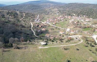 C21 BAL'DAN DURSUNBEY KARAPINAR SATILIK-uygun fiyatlı-ARSA