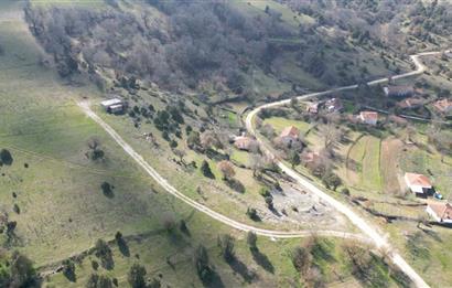 C21 BAL'DAN DURSUNBEY KARAPINAR SATILIK-uygun fiyatlı-ARSA