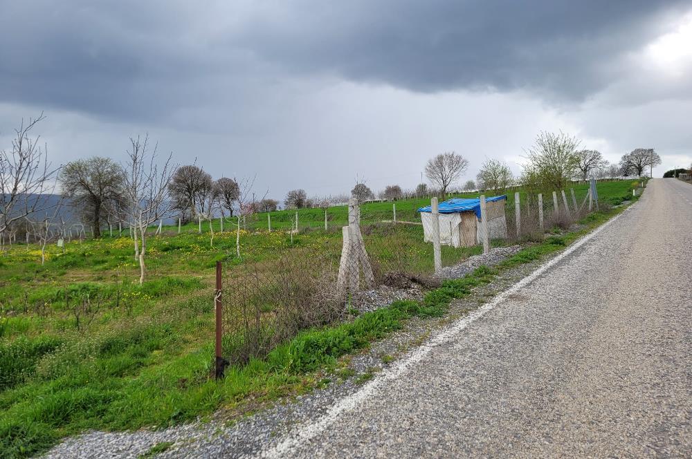 C21 BAL'DAN DİŞBUDAK'TA 13321 M2 ASFALTA CEPHE SATILIK CEVİZLİK