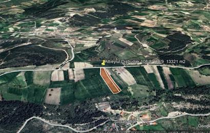 C21 BAL'DAN DİŞBUDAK'TA 13321 M2 ASFALTA CEPHE SATILIK CEVİZLİK