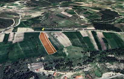 C21 BAL'DAN DİŞBUDAK'TA 13321 M2 ASFALTA CEPHE SATILIK CEVİZLİK