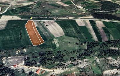 C21 BAL'DAN DİŞBUDAK'TA 13321 M2 ASFALTA CEPHE SATILIK CEVİZLİK