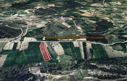 C21 BAL'DAN DİŞBUDAK'TA 13321 M2 ASFALTA CEPHE SATILIK CEVİZLİK