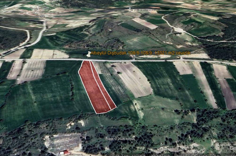 C21 BAL'DAN DİŞBUDAK'TA 13321 M2 ASFALTA CEPHE SATILIK CEVİZLİK