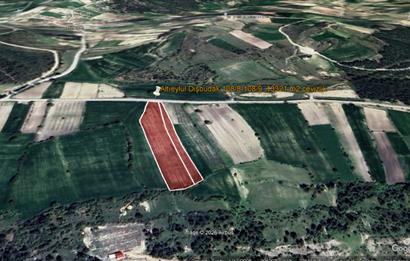 C21 BAL'DAN DİŞBUDAK'TA 13321 M2 ASFALTA CEPHE SATILIK CEVİZLİK