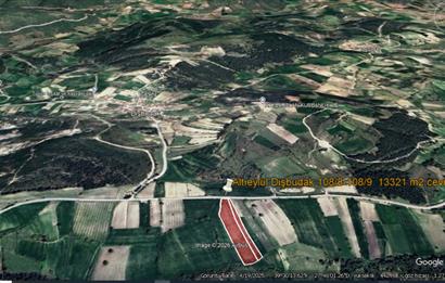 C21 BAL'DAN DİŞBUDAK'TA 13321 M2 ASFALTA CEPHE SATILIK CEVİZLİK