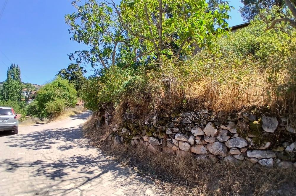 C21 LOCADAN KEPSUT SAYACIK MAHALLESİNDE KONUT İMARLI 1229M2 ARSA