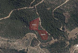 Milas Karapınar’da 16.235 m² İkiz Parsel | Havalimanına 7 km Yatırımlık Arazi - 1 - 33565