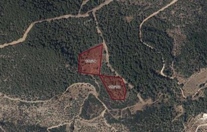 Milas Karapınar’da 16.235 m² İkiz Parsel | Havalimanına 7 km Yatırımlık Arazi