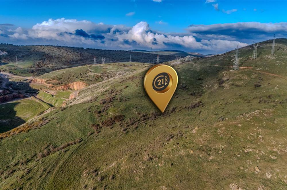 C21 LOCA' DAN ALTIEYLÜL KÖYLÜ MAHALLESİNDE 3600M2 SATILIK TARLA