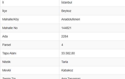 BEYKOZ ANADOLU FENERİ’NDE YATIRIMLIK 1.599 m² HİSSE