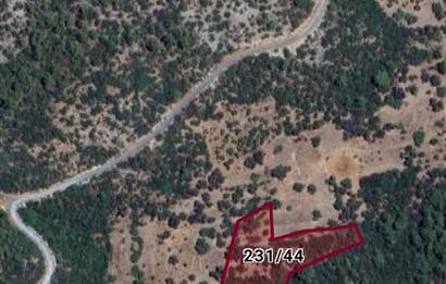 Bodrum Mazıda yatırım değeri yüksek satılık tarla