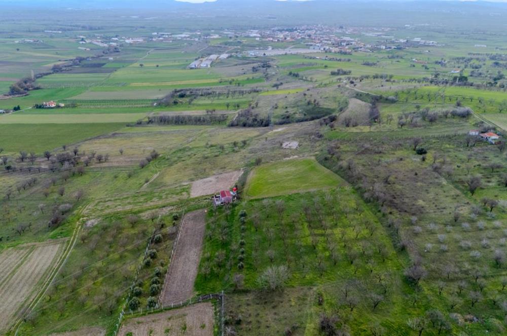 C21 LOCA' DAN ALTIEYLÜL KÖYLÜ MAHALLESİNDE 700M2 SATILIK BAĞ