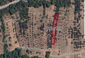 Bodrum Mazı'da yatırım değeri yüksek satılık tarla - 3 - 33615