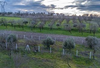 C21 LOCA' DAN ALTIEYLÜL KÖYLÜ MAHALLESİNDE 700M2 SATILIK BAĞ - 1 - 33585