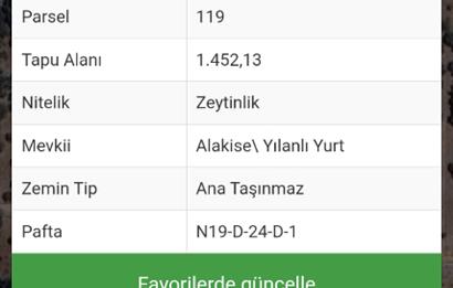 Bodrum Mazı'da yatırım değeri yüksek satılık tarla